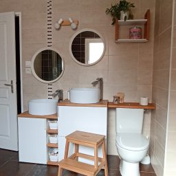 Optimisation de l'espace salle de bain pour être accessible aux enfants de tout âge.