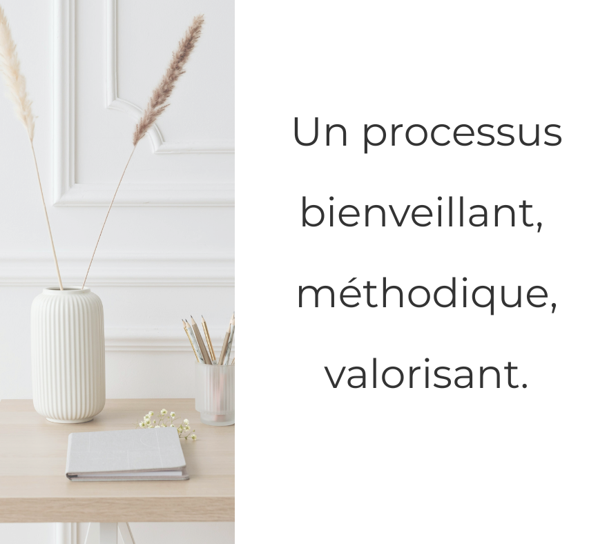 Accompagnement personnalisé au tri et organisation de maison: rythme, fréquence, format, prestation totalement adapté - Lauragais / Toulouse