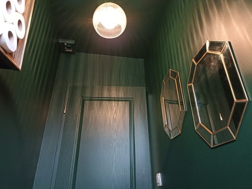 Le plafond est peint durant la rénovation pour créer une ambiance cabinet de curiosité et faire ressortir les éléments de décoration.